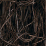 Pressed-cellulose-brown-49