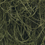 Pressed-cellulose-green-51