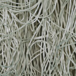 Pressed-cellulose-grey-43