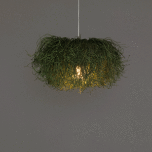 caos dimmable ca04b-ld